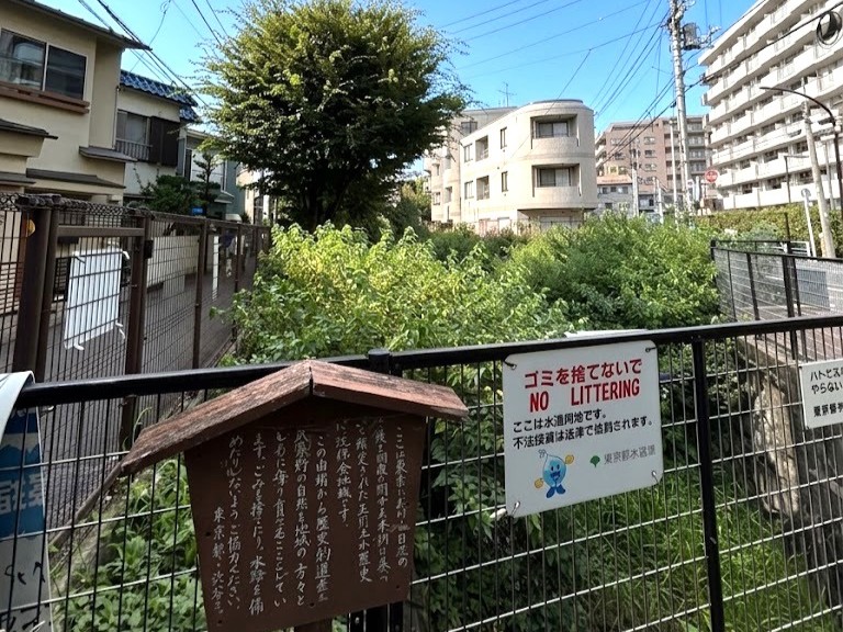 玉川上水緑道の様子